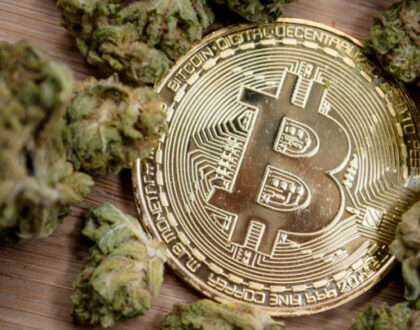 The Similarities Between Bitcoin and Marijuana as an Investment